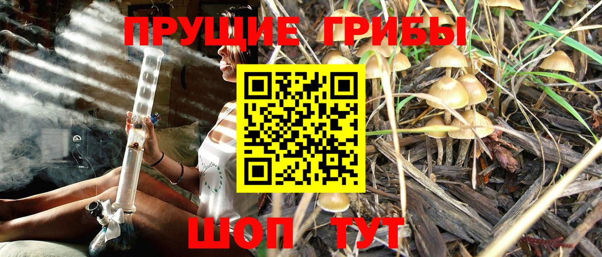 Псилоцибиновые грибы ЛСД  Вход с VPN  Псилоцибиновые грибы мухоморы  Шебекино 